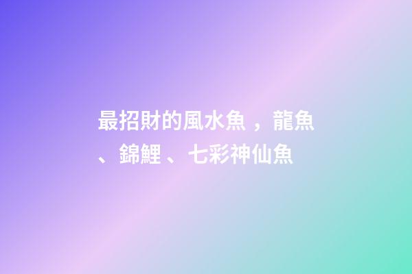 最招財的風水魚，龍魚、錦鯉、七彩神仙魚